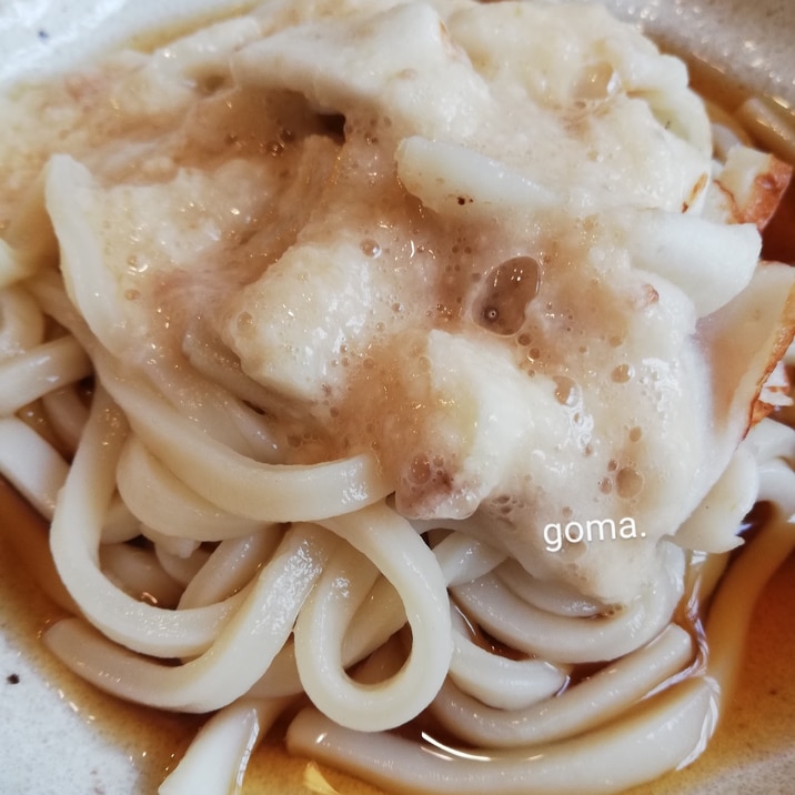 冷やしとろろうどん